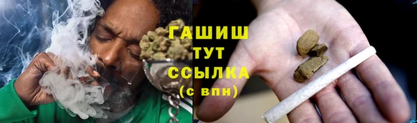 гидра Алексеевка