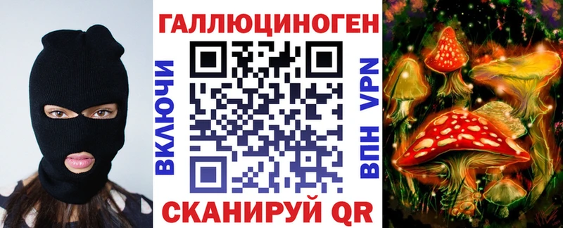 Галлюциногенные грибы Psilocybine cubensis Биробиджан